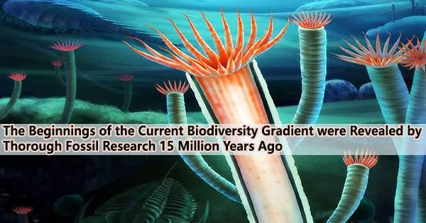 The Beginnings of the Current Biodiversity Gradient were Revealed by Thorough Fossil Research 15 Million Years Ago