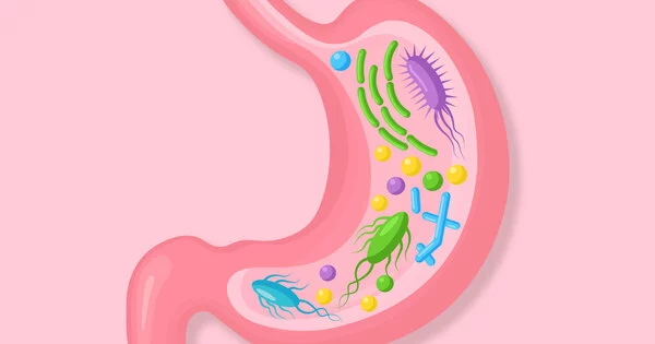 The Discovery of Fiber could Help to Shape better Gut Health