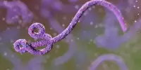 Using an Innate Ebola Defense Mechanism