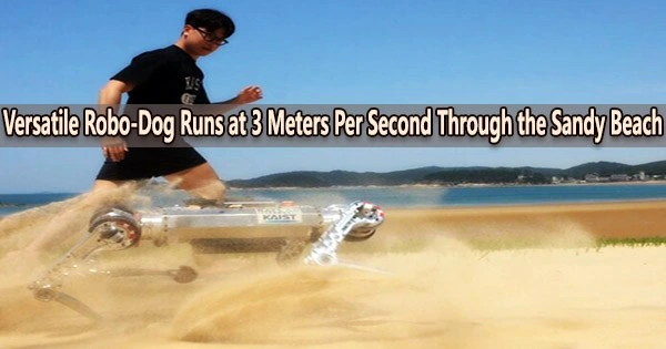 Versatile Robo-Dog Runs at 3 Meters Per Second Through the Sandy Beach