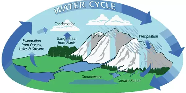 Water Cycle