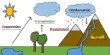 Water Cycle