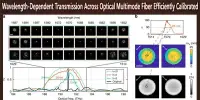Wavelength-Dependent Transmission Across Optical Multimode Fiber Efficiently Calibrated