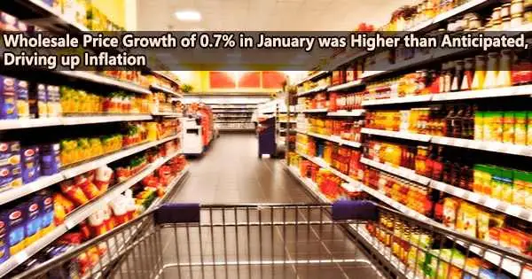 Wholesale Price Growth of 0.7% in January was Higher than Anticipated, Driving up Inflation