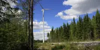 Wind Turbines in Forests