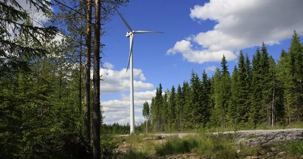 Wind Turbines in Forests