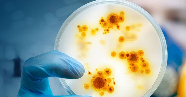 A New Antibiotic eliminates Superbugs while avoiding Bacterial Resistance
