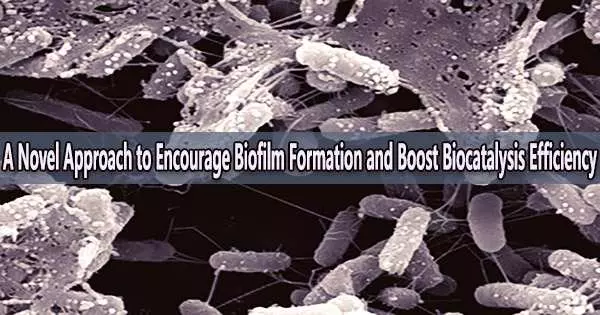 A Novel Approach to Encourage Biofilm Formation and Boost Biocatalysis Efficiency