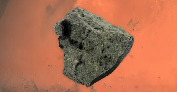 A Wide Range of Organic Compounds can be found in Martian Meteorites