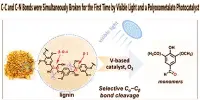 C-C and C-N Bonds were Simultaneously Broken for the First Time by Visible Light and a Polyoxometalate Photocatalyst