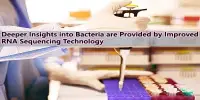 Deeper Insights into Bacteria are Provided by Improved RNA Sequencing Technology