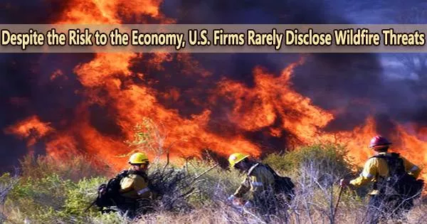 Despite the Risk to the Economy, U.S. Firms Rarely Disclose Wildfire Threats