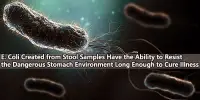 E. Coli Created from Stool Samples Have the Ability to Resist the Dangerous Stomach Environment Long Enough to Cure Illness