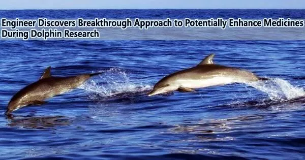 Engineer Discovers Breakthrough Approach to Potentially Enhance Medicines During Dolphin Research