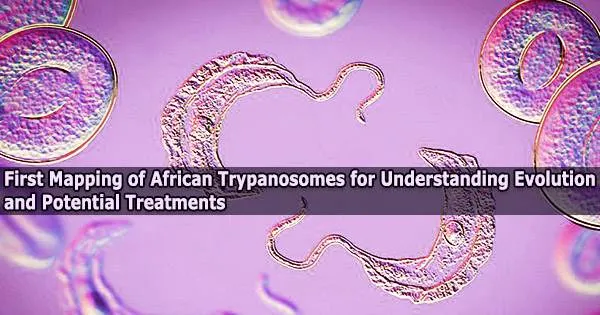 First Mapping of African Trypanosomes for Understanding Evolution and Potential Treatments