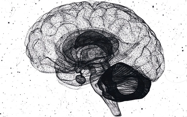 How the brain senses infection