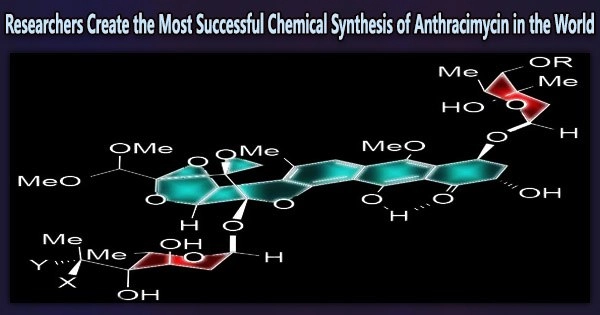 Researchers Create the Most Successful Chemical Synthesis of Anthracimycin in the World