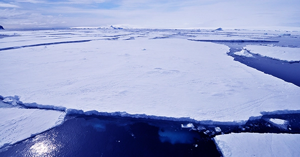 Scientists Calculate That Over a 25-year Period, the Antarctic ice Mass will have Shed More Than 3,000 Billion Pounds of Ice