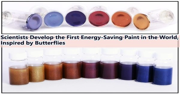Scientists Develop the First Energy-Saving Paint in the World, Inspired by Butterflies