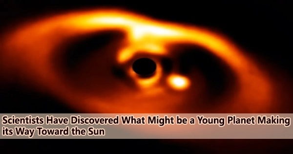 Scientists Have Discovered What Might be a Young Planet Making its Way Toward the Sun