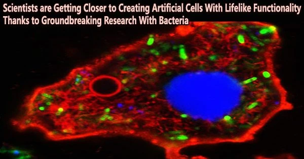 Scientists are Getting Closer to Creating Artificial Cells With Lifelike Functionality Thanks to Groundbreaking Research With Bacteria