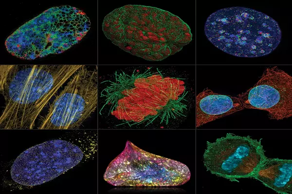 Major advance in super-resolution fluorescence microscopy