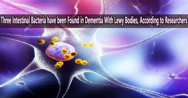 Three Intestinal Bacteria have been Found in Dementia With Lewy Bodies, According to Researchers