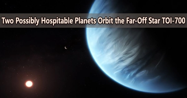 Two Possibly Hospitable Planets Orbit the Far-Off Star TOI-700