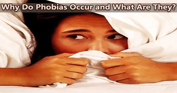 Why Do Phobias Occur and What Are They?