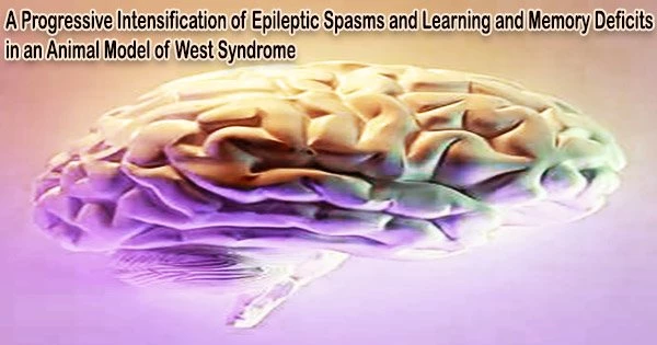 A Progressive Intensification of Epileptic Spasms and Learning and Memory Deficits in an Animal Model of West Syndrome