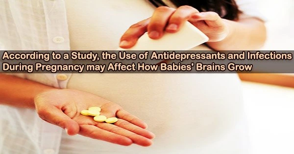 According to a Study, the Use of Antidepressants and Infections During Pregnancy may Affect How Babies’ Brains Grow