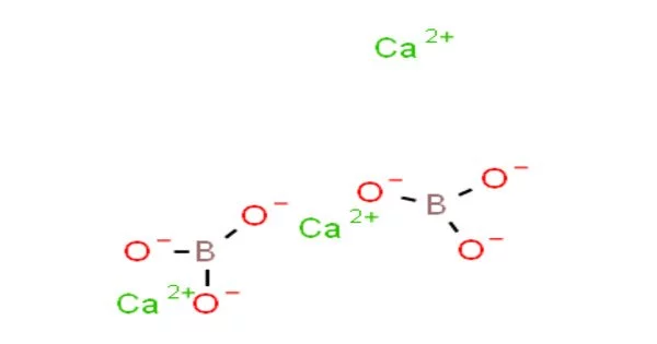 Calcium Borate – a Chemical Compound