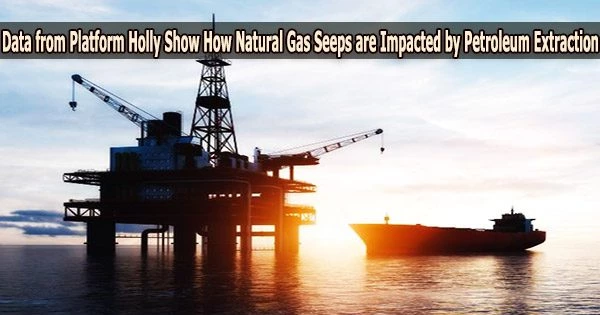 Data from Platform Holly Show How Natural Gas Seeps are Impacted by Petroleum Extraction
