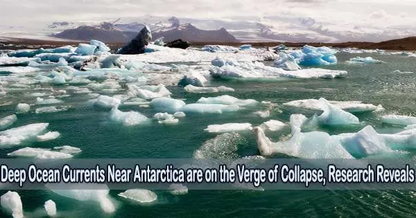 Deep Ocean Currents Near Antarctica are on the Verge of Collapse, Research Reveals