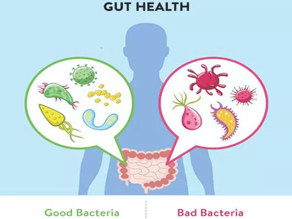 How fit is your gut microbiome?