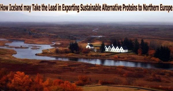 How Iceland may Take the Lead in Exporting Sustainable Alternative Proteins to Northern Europe