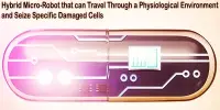 Hybrid Micro-Robot that can Travel Through a Physiological Environment and Seize Specific Damaged Cells