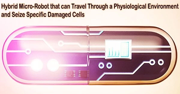 Hybrid Micro-Robot that can Travel Through a Physiological Environment and Seize Specific Damaged Cells