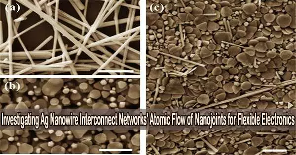 Investigating Ag Nanowire Interconnect Networks’ Atomic Flow of Nanojoints for Flexible Electronics
