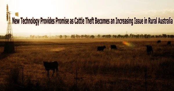 New Technology Provides Promise as Cattle Theft Becomes an Increasing Issue in Rural Australia