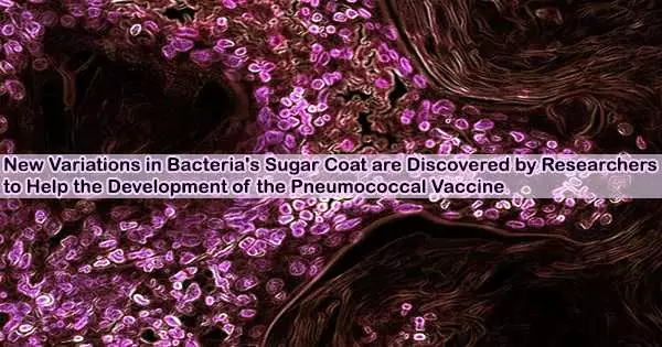 New Variations in Bacteria’s Sugar Coat are Discovered by Researchers to Help the Development of the Pneumococcal Vaccine