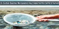 On Scottish Beaches, Microplastics may Enable Harmful Germs to Survive