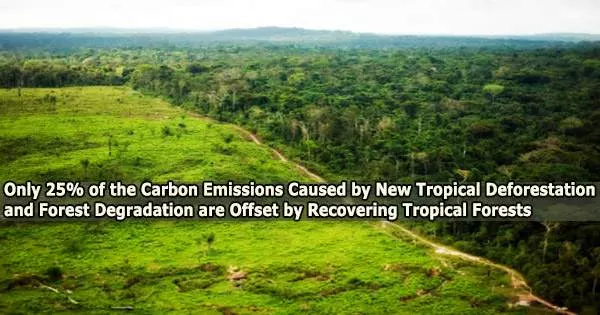 Only 25% of the Carbon Emissions Caused by New Tropical Deforestation and Forest Degradation are Offset by Recovering Tropical Forests