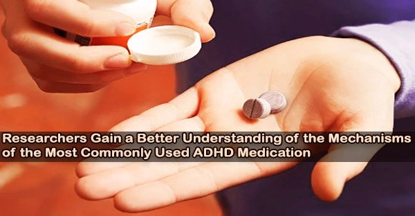 Researchers Gain a Better Understanding of the Mechanisms of the Most Commonly Used ADHD Medication