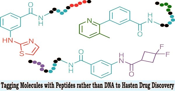 Tagging Molecules with Peptides rather than DNA to Hasten Drug Discovery