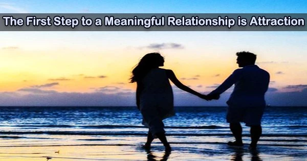 The First Step to a Meaningful Relationship is Attraction