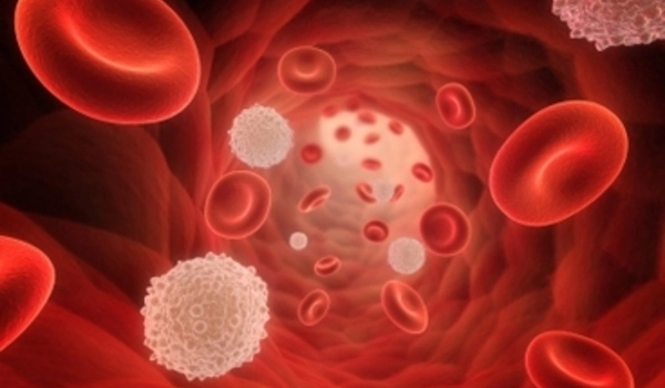 Discovery of an unexpected function of blood immune cells: Their ability to proliferate