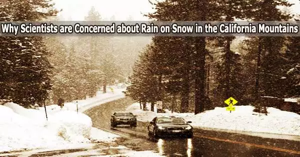 Why Scientists are Concerned about Rain on Snow in the California Mountains