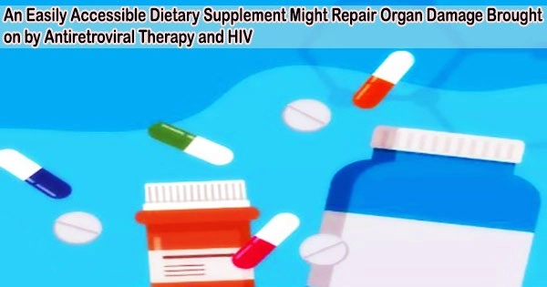 An Easily Accessible Dietary Supplement Might Repair Organ Damage Brought on by Antiretroviral Therapy and HIV