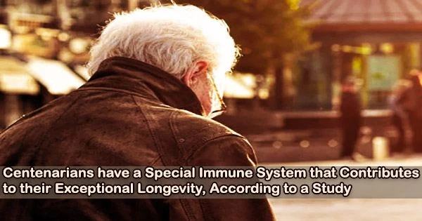 Centenarians have a Special Immune System that Contributes to their Exceptional Longevity, According to a Study
